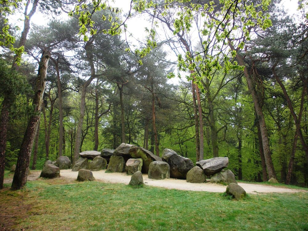 Hunebed D45 in de Emmerdennen bij Emmen, een rij zwerfkeien tussen de bomen